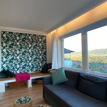 Traumblick - Mit Traumhaftem Blick In Bregenzer Bucht Apartment *